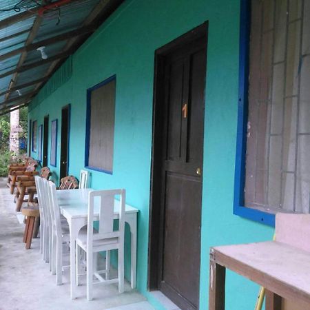 Trisha Lodging House San Vicente  Bagian luar foto