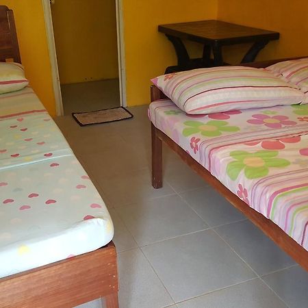 Trisha Lodging House Villa San Vicente  Bagian luar foto