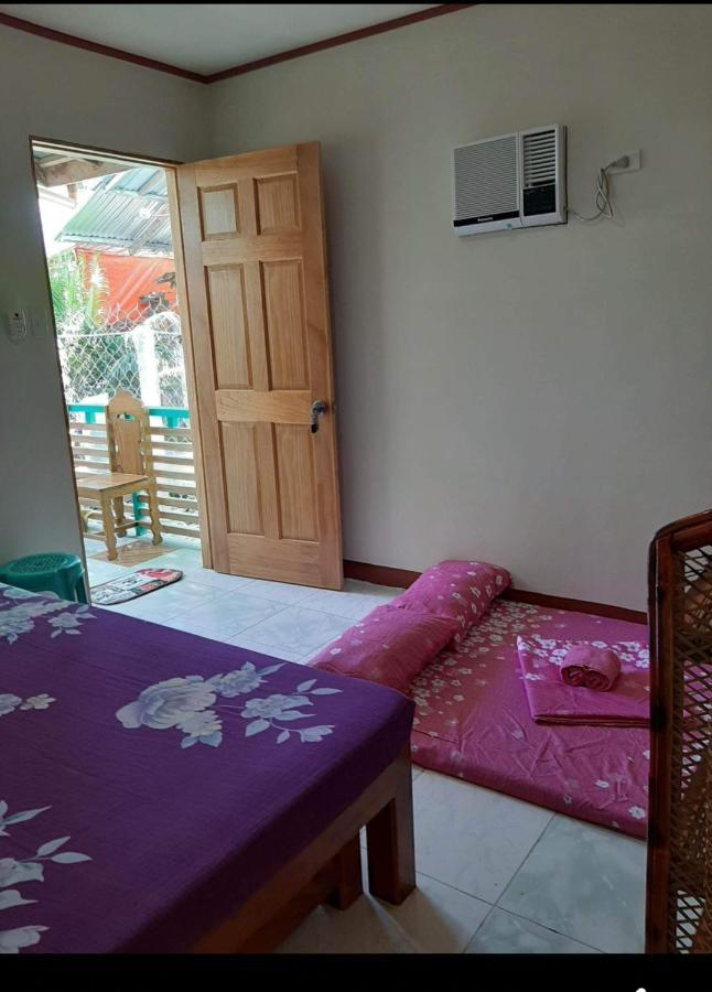 Trisha Lodging House Villa San Vicente  Bagian luar foto