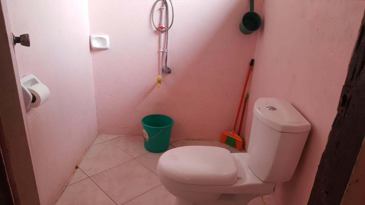 Trisha Lodging House San Vicente  Bagian luar foto
