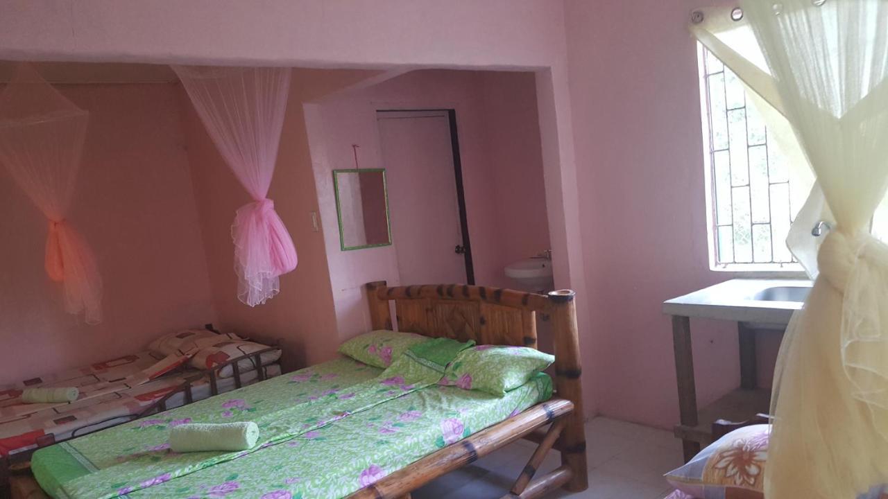 Trisha Lodging House San Vicente  Bagian luar foto