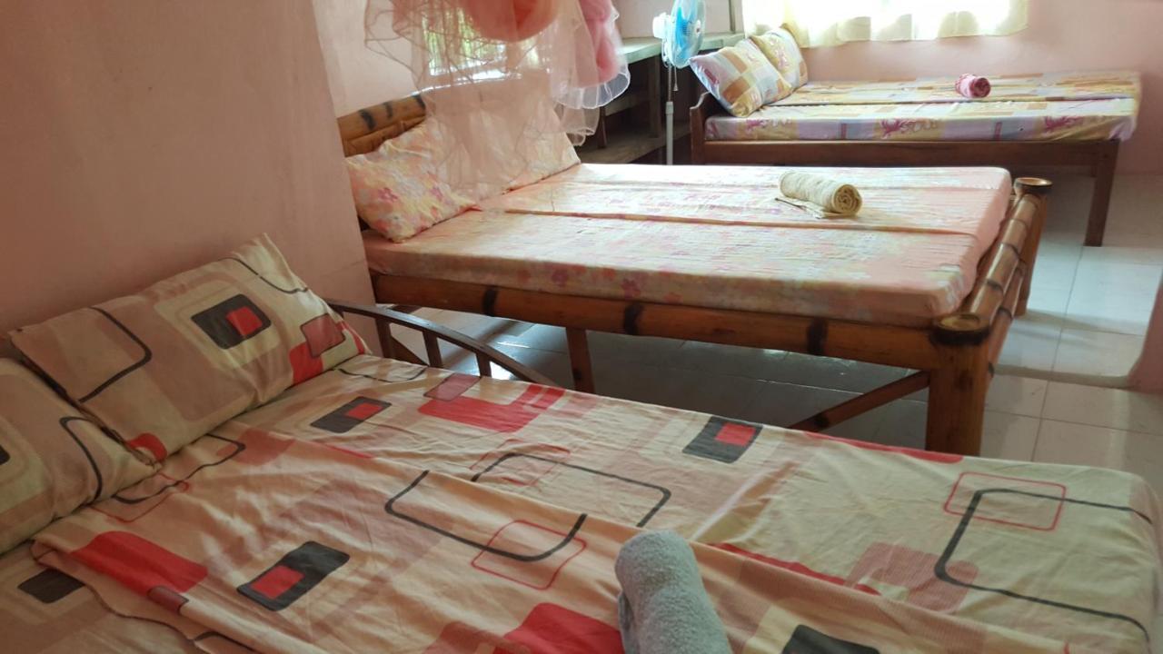 Trisha Lodging House San Vicente  Bagian luar foto