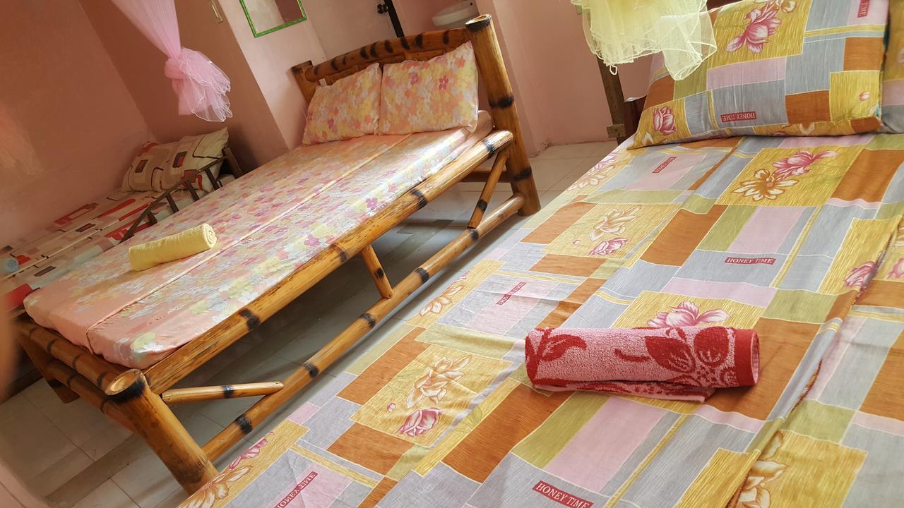 Trisha Lodging House San Vicente  Bagian luar foto
