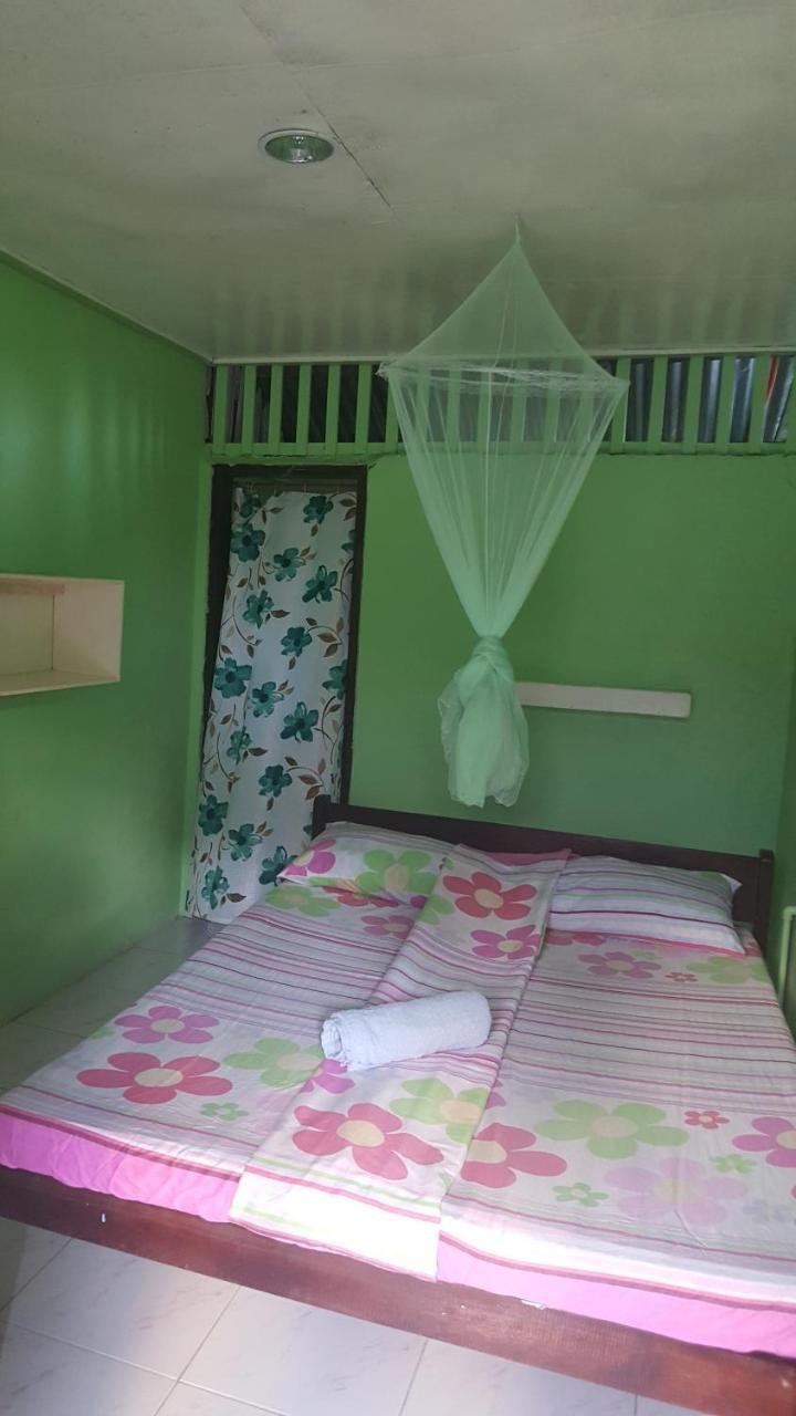 Trisha Lodging House San Vicente  Bagian luar foto
