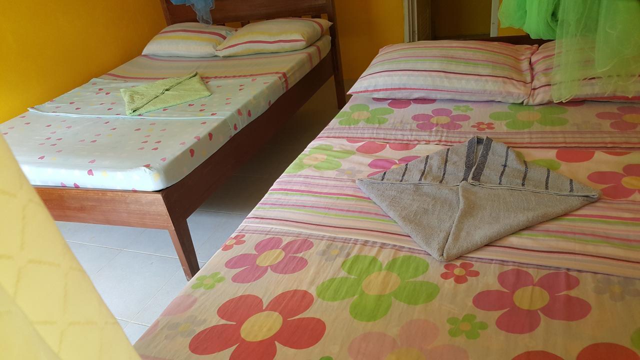 Trisha Lodging House San Vicente  Bagian luar foto