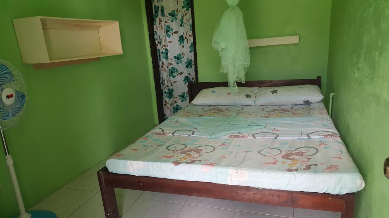 Trisha Lodging House Villa San Vicente  Bagian luar foto