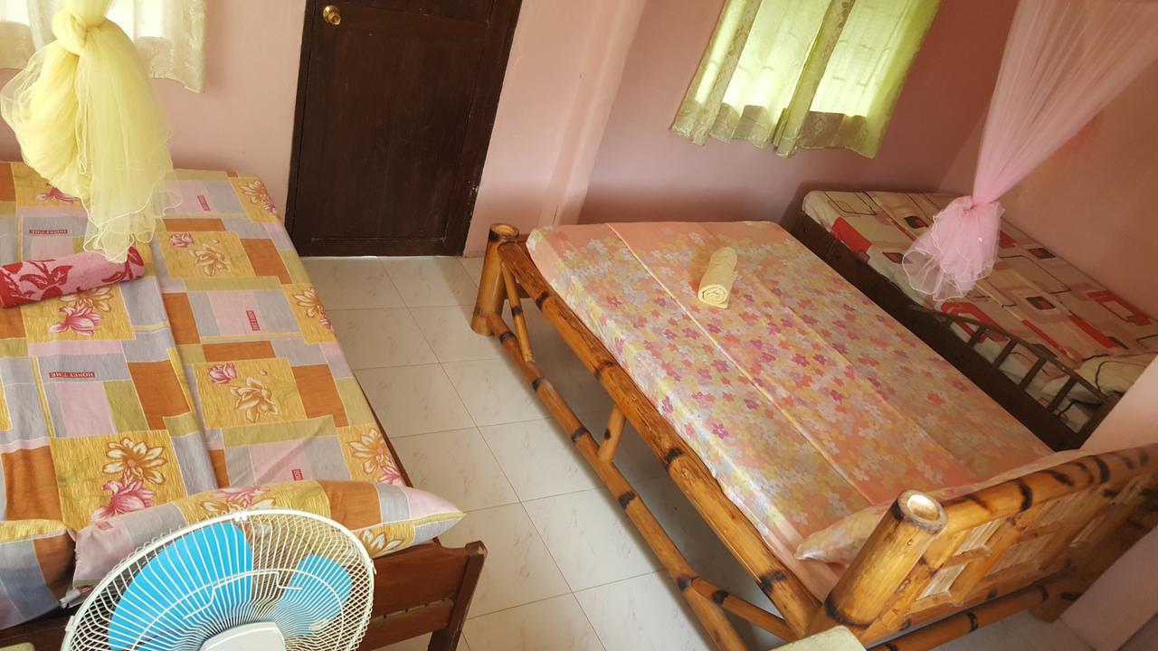 Trisha Lodging House San Vicente  Bagian luar foto