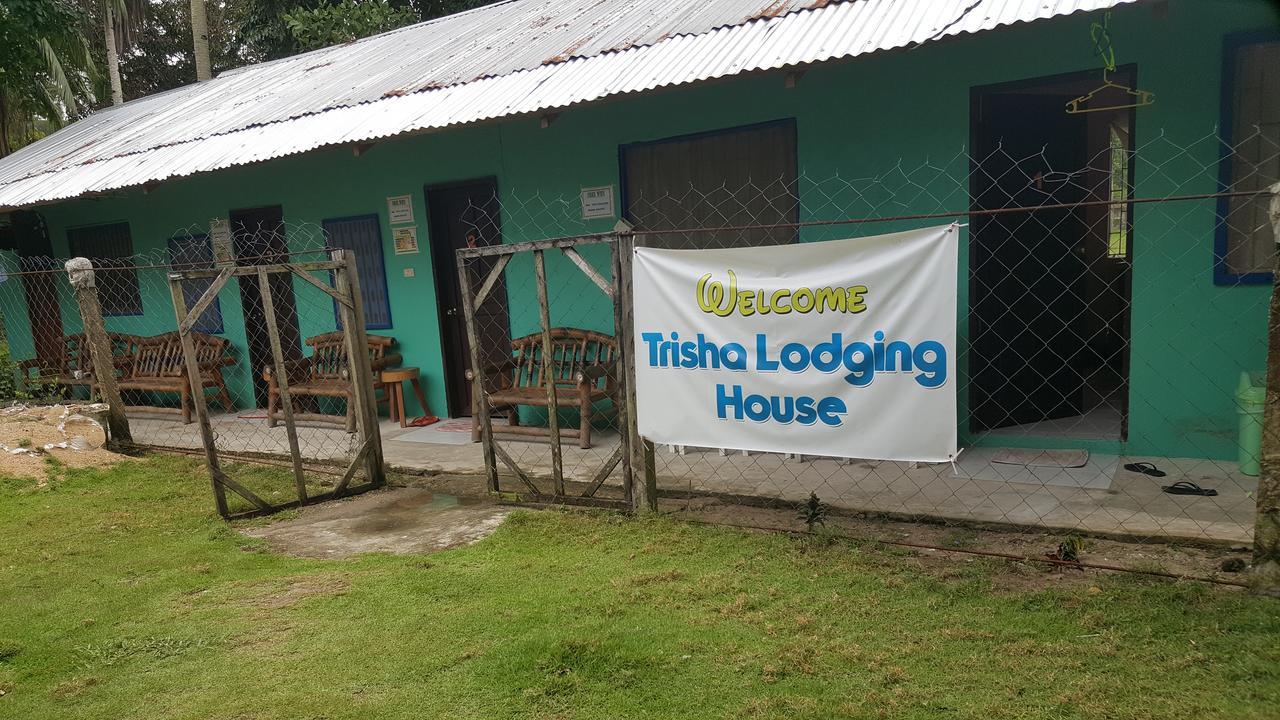 Trisha Lodging House Villa San Vicente  Bagian luar foto