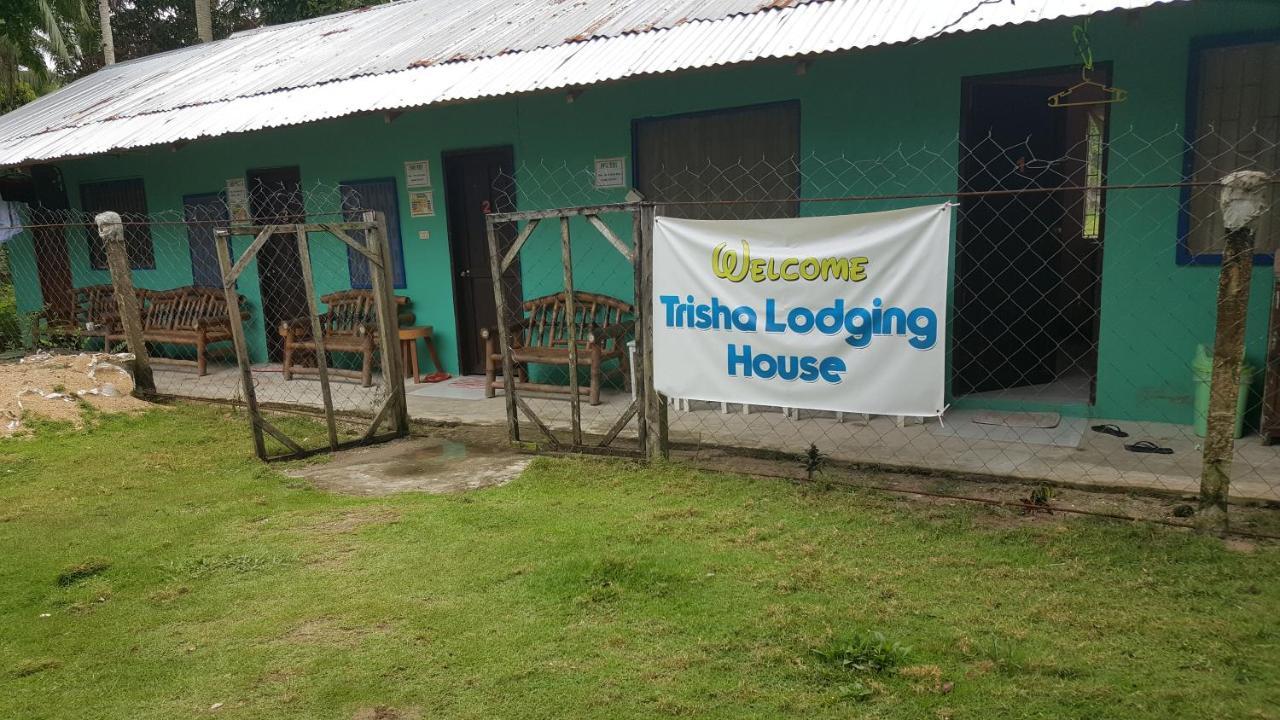 Trisha Lodging House San Vicente  Bagian luar foto