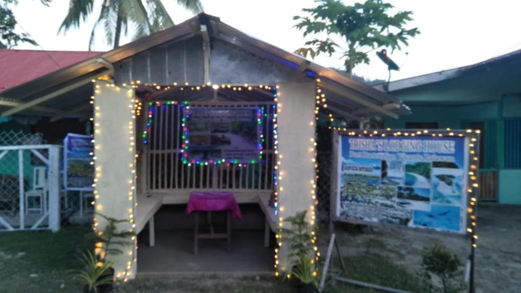 Trisha Lodging House San Vicente  Bagian luar foto